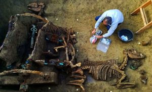 Read more about the article Archaeologists Unearth Roman Chariot With Horse Fossils