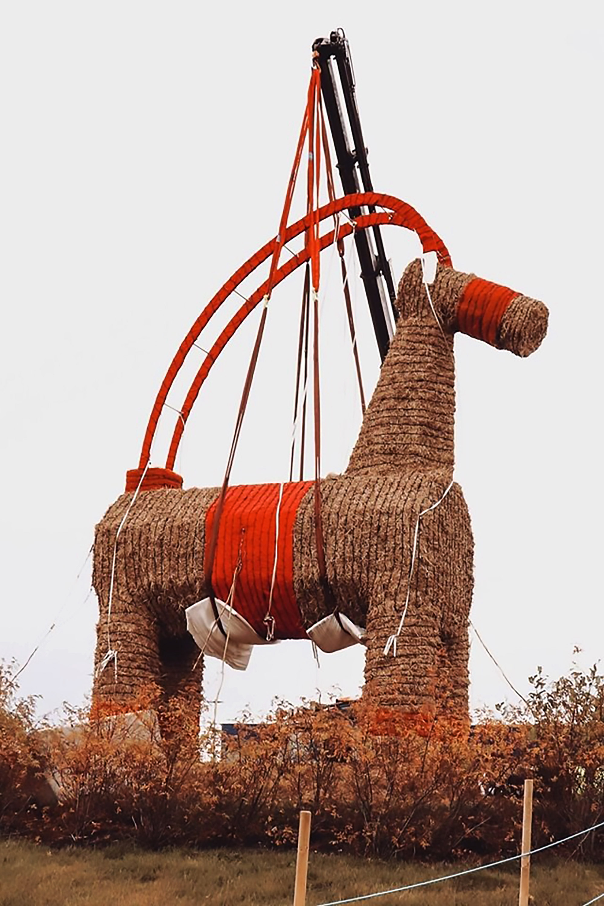 Read more about the article IKEA Bosses Hope Cursed Straw Goat Survives This Xmas
