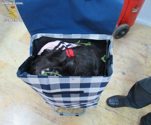 Read more about the article Syrian 7yo Hides In Trolley At Spain Border To See Mum