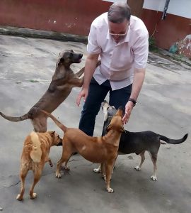 Read more about the article Priest Takes In Stray Dogs For Sunday Mass To Find Home