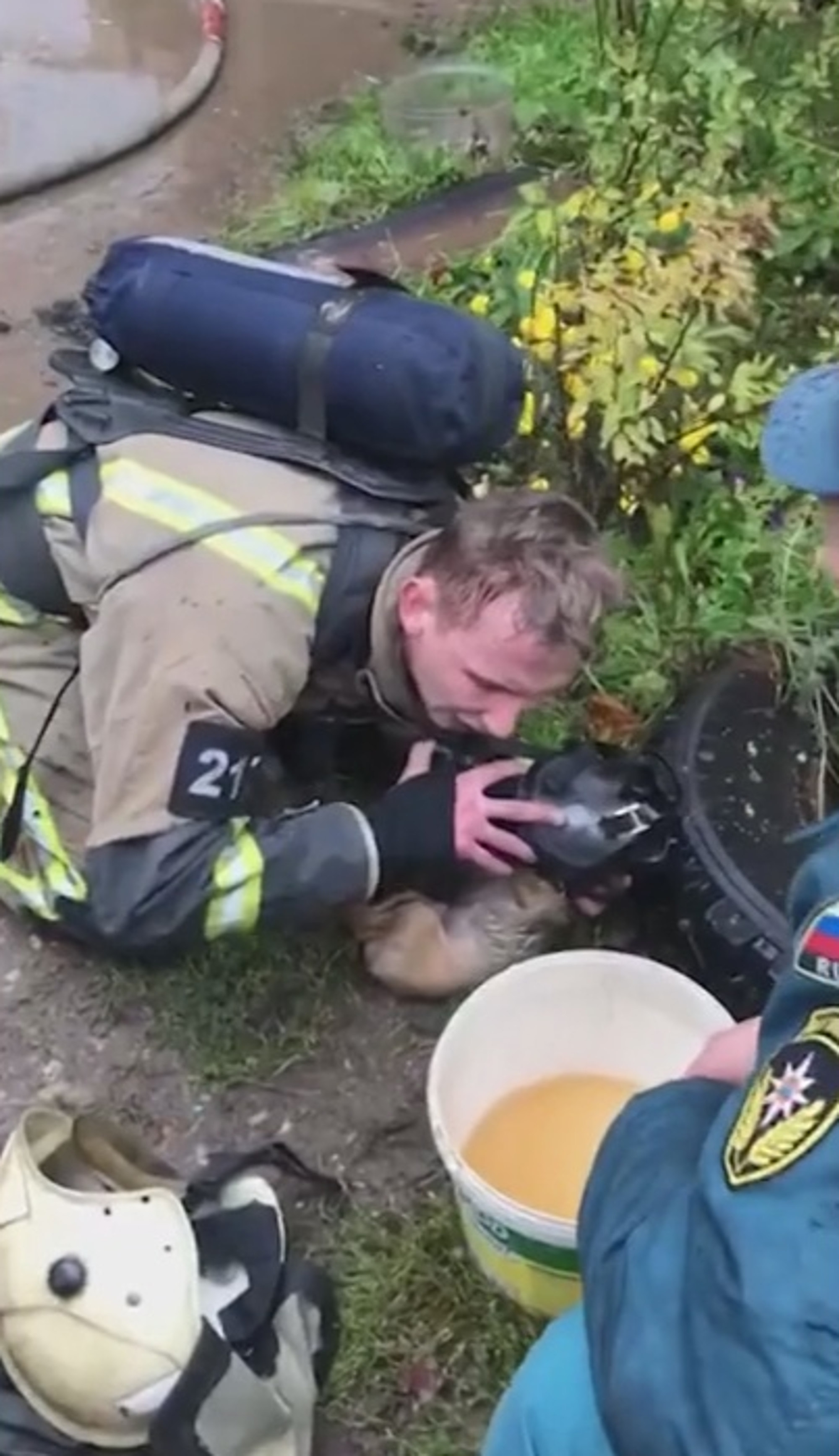 Read more about the article Hero Firefighter Uses Oxygen Mask To Save Dog