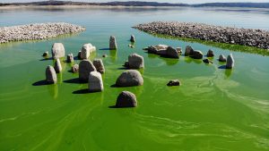 Read more about the article Spains Longest River At Spanish Stonehenge Turns Green