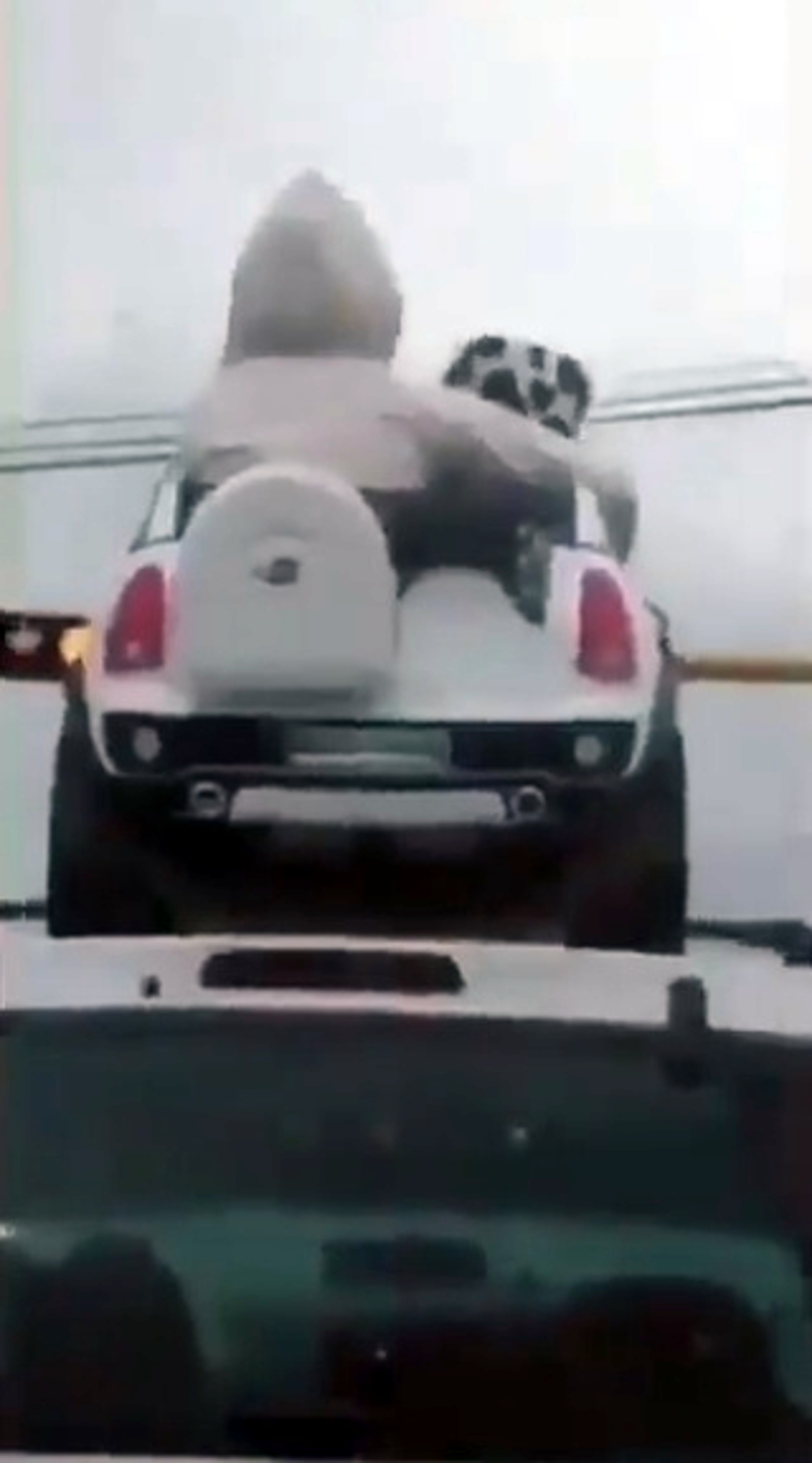 Read more about the article Kids In Toy Car Fixed To Top Of SUV Driving In Rain