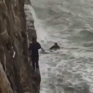 Read more about the article Brave Surfers Rescue Dog Slammed Against Rocks By Waves