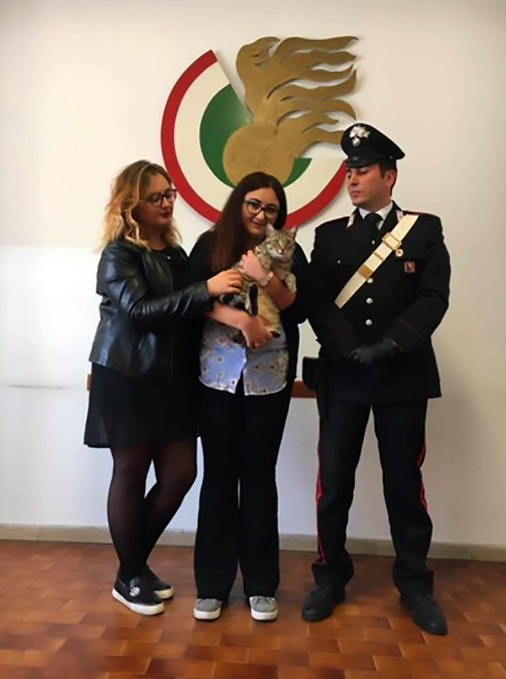 Read more about the article Woman Nabbed For Holding Missing Cat For 1000-EUR Ransom