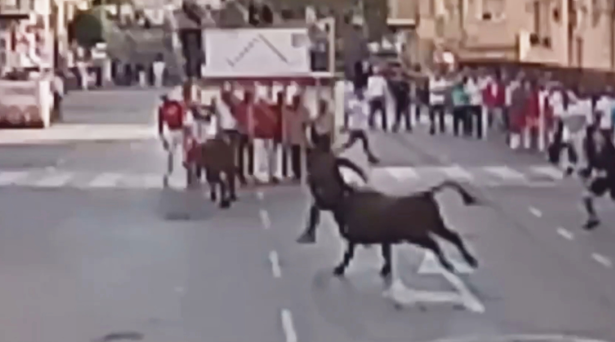 Read more about the article Bull Gores Man In Bum During Spanish Festival