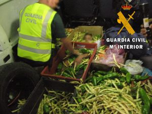 Read more about the article Spanish Cops Find African Migrant Among Boxes Of Veg
