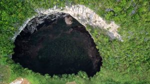 Read more about the article Largest Sinkholes Found In Forest Next To Avatar Site