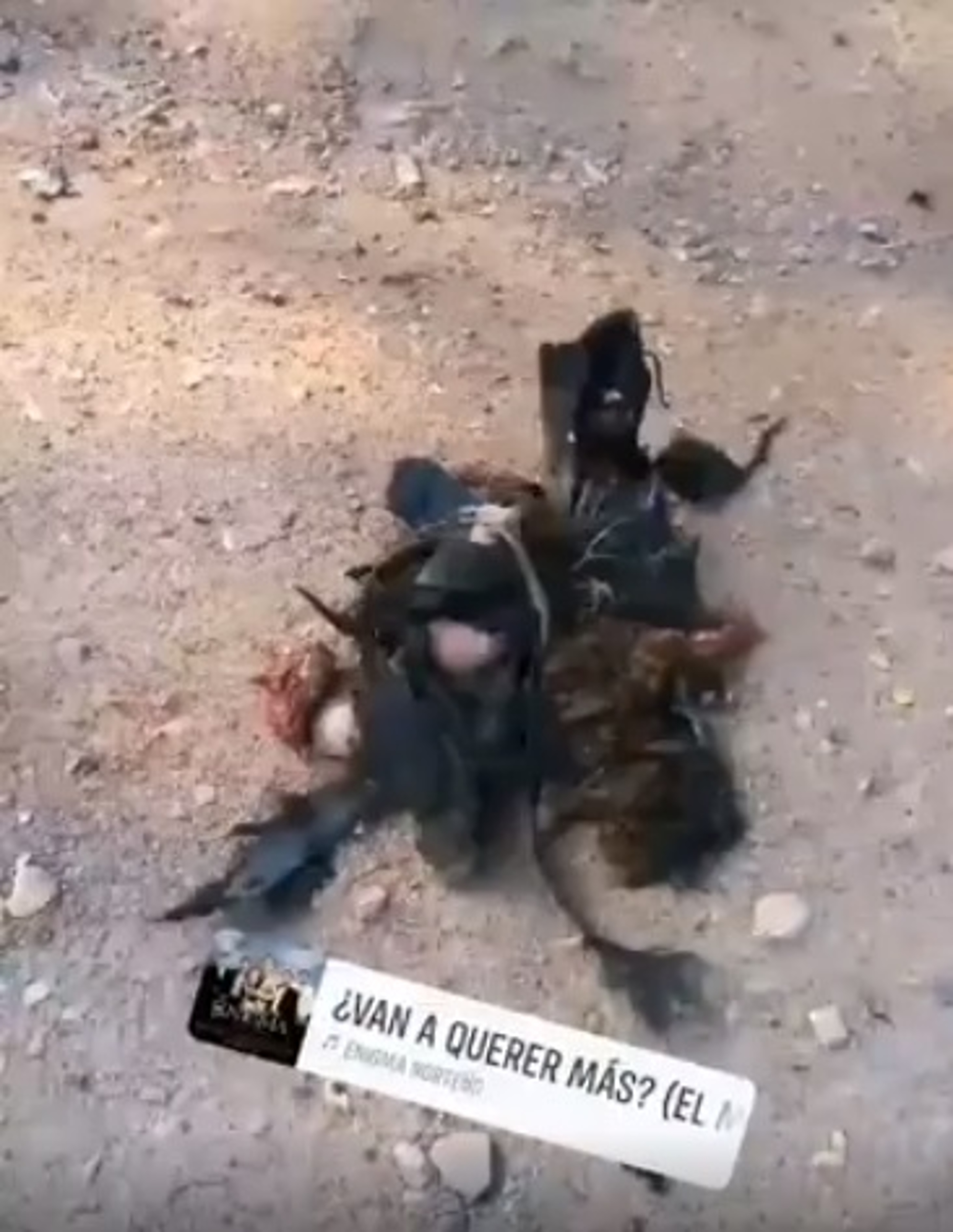 Read more about the article CJNG Cartel Sends Ghoulish Human Remains Vid As Warning