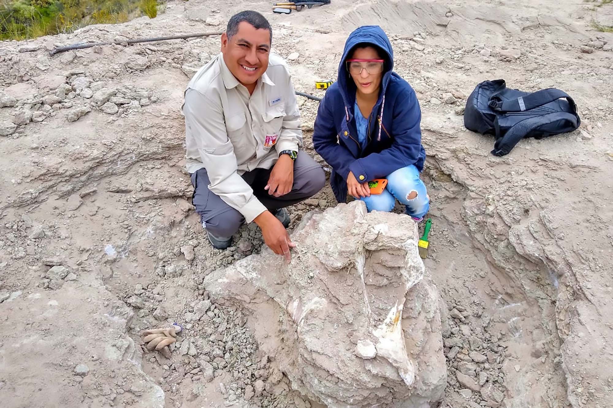 Read more about the article Woman Drinking Tea Finds 85-Million-Yo Dinosaur Fossil