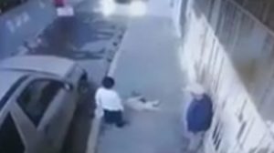Read more about the article Man Slams Dog And Kills It In Front Of Kid Owner