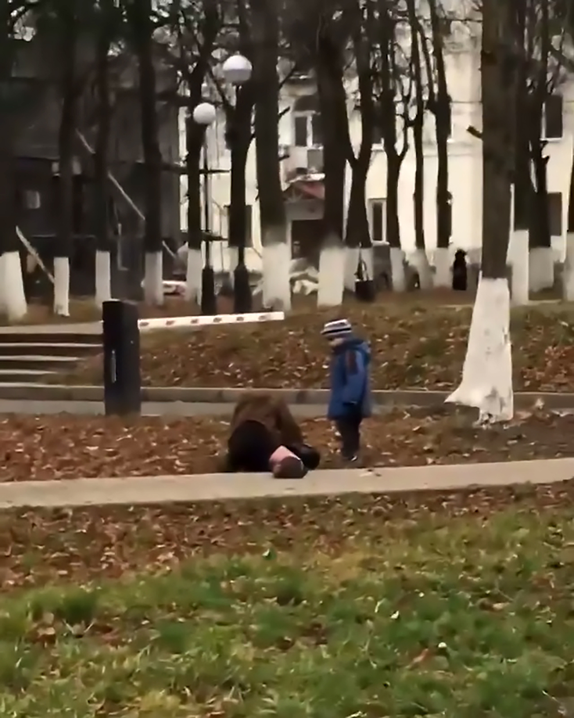 Read more about the article Drunk Mum Lies On Ground In Park In Front Of 3yo Son