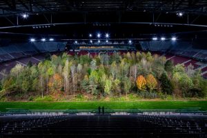 Read more about the article Forest Removed From Footie Stadium As Winter Sets In