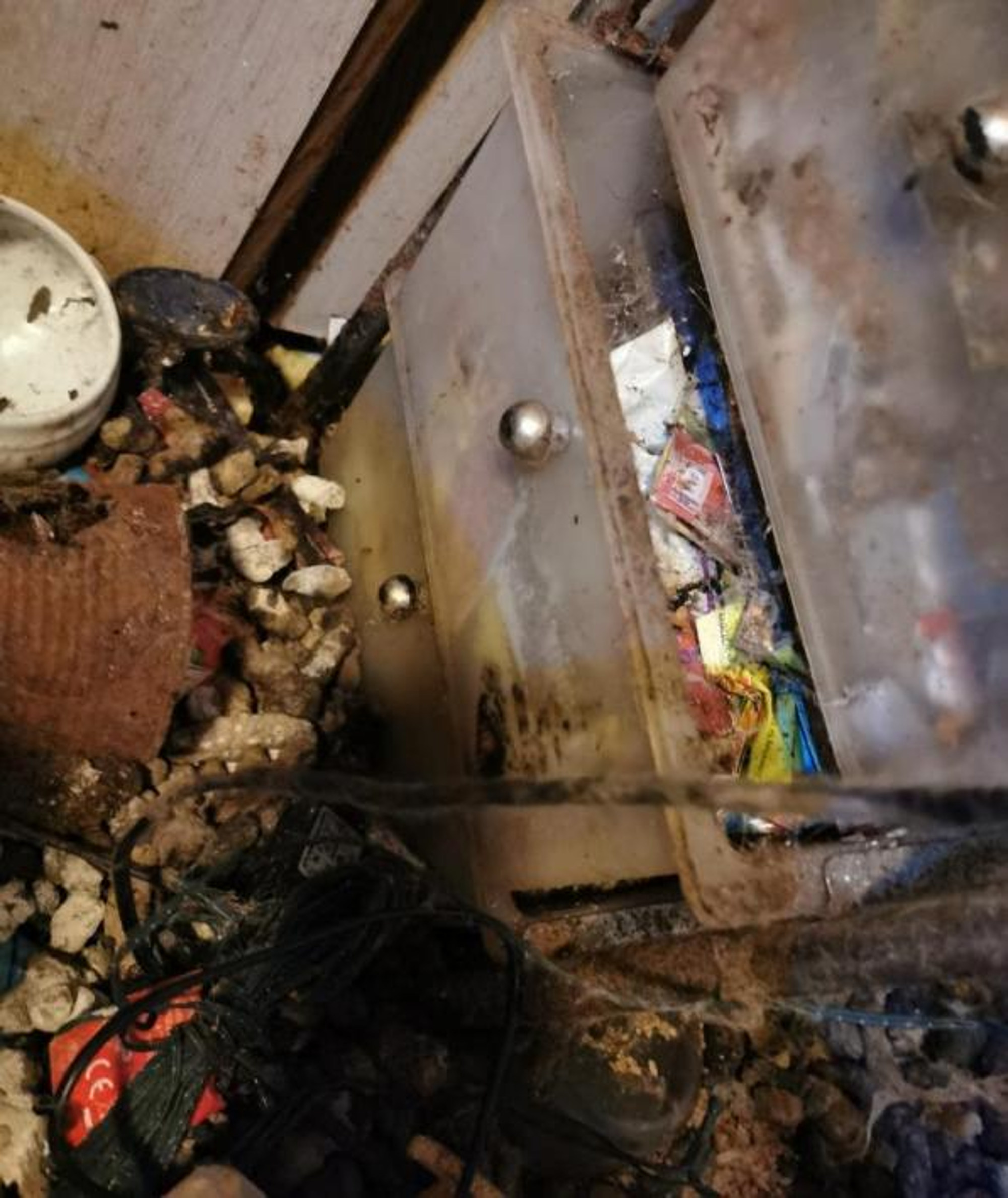 Read more about the article Cat Jumps To Death After Being Abandoned In Filthy Flat