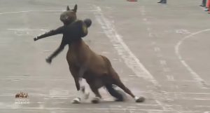 Read more about the article Soldier Bodyslams Horse To Ground As Mexico Pres Watches