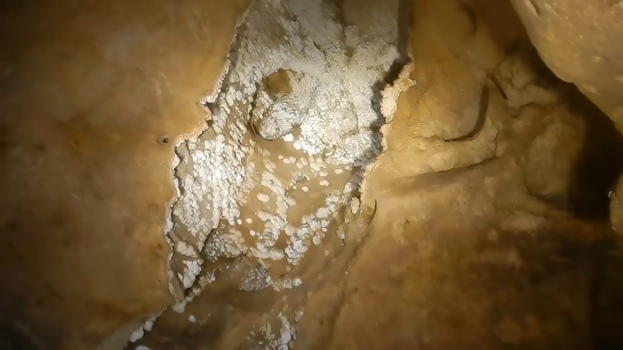 Read more about the article Footage From Ancient Mammoth And Sabre Tooth Tiger Cave