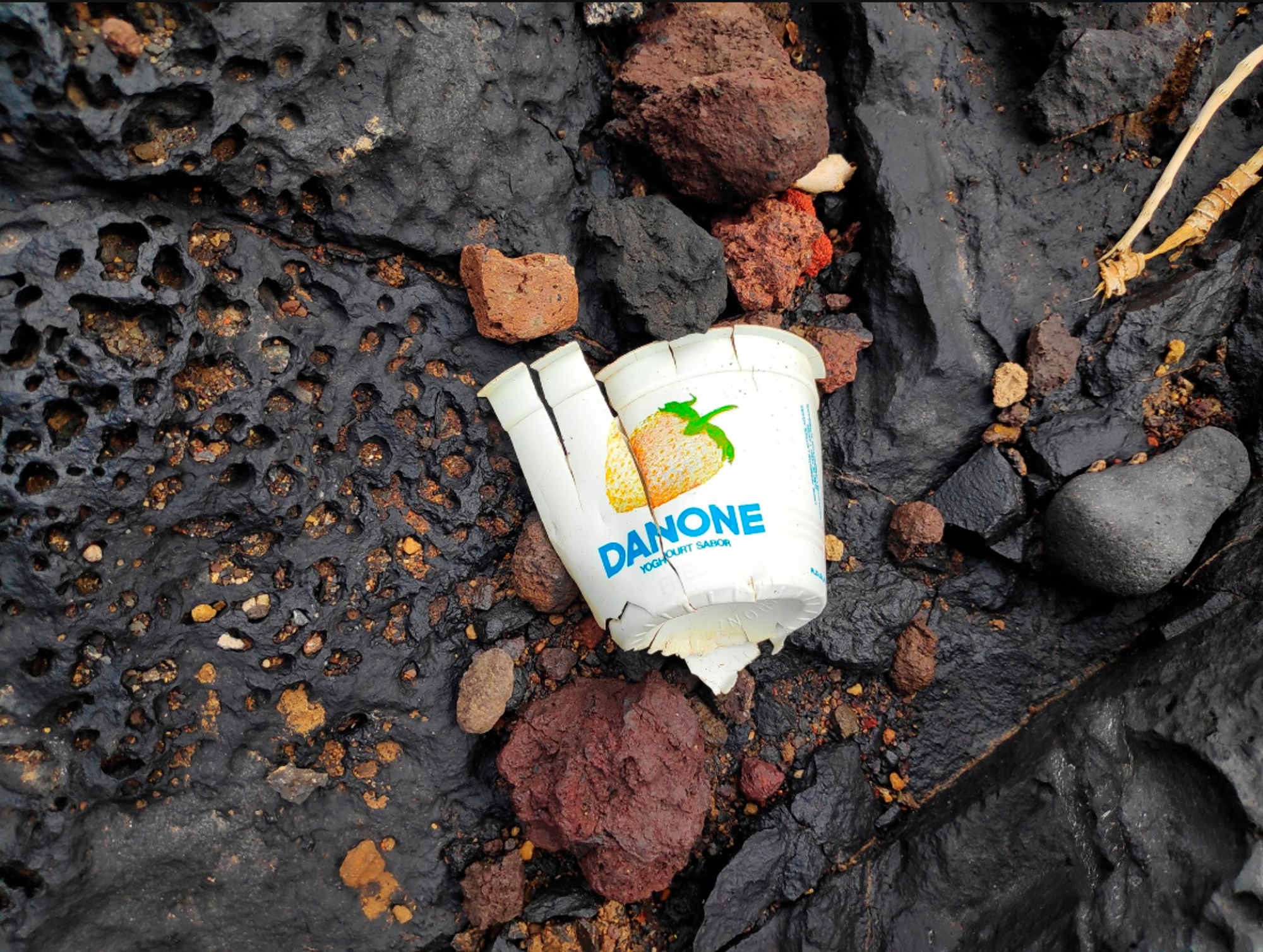 Read more about the article 40yo Yoghurt Carton Washes Up On Tenerife Beach