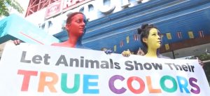 Read more about the article PETA Activists Strip To Protest Inhumane Thai Zoo