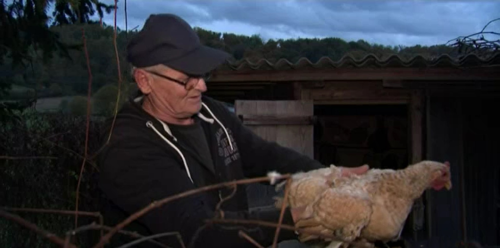 Read more about the article Chicken Back From Dead After Vicious Kick By Footballer