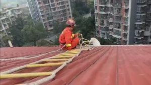 Read more about the article Firemen Save Pooch Stuck On Tile Roof Viewing Scenery