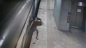Read more about the article Wrong Way Woman Jumps From Moving Train Onto Platform