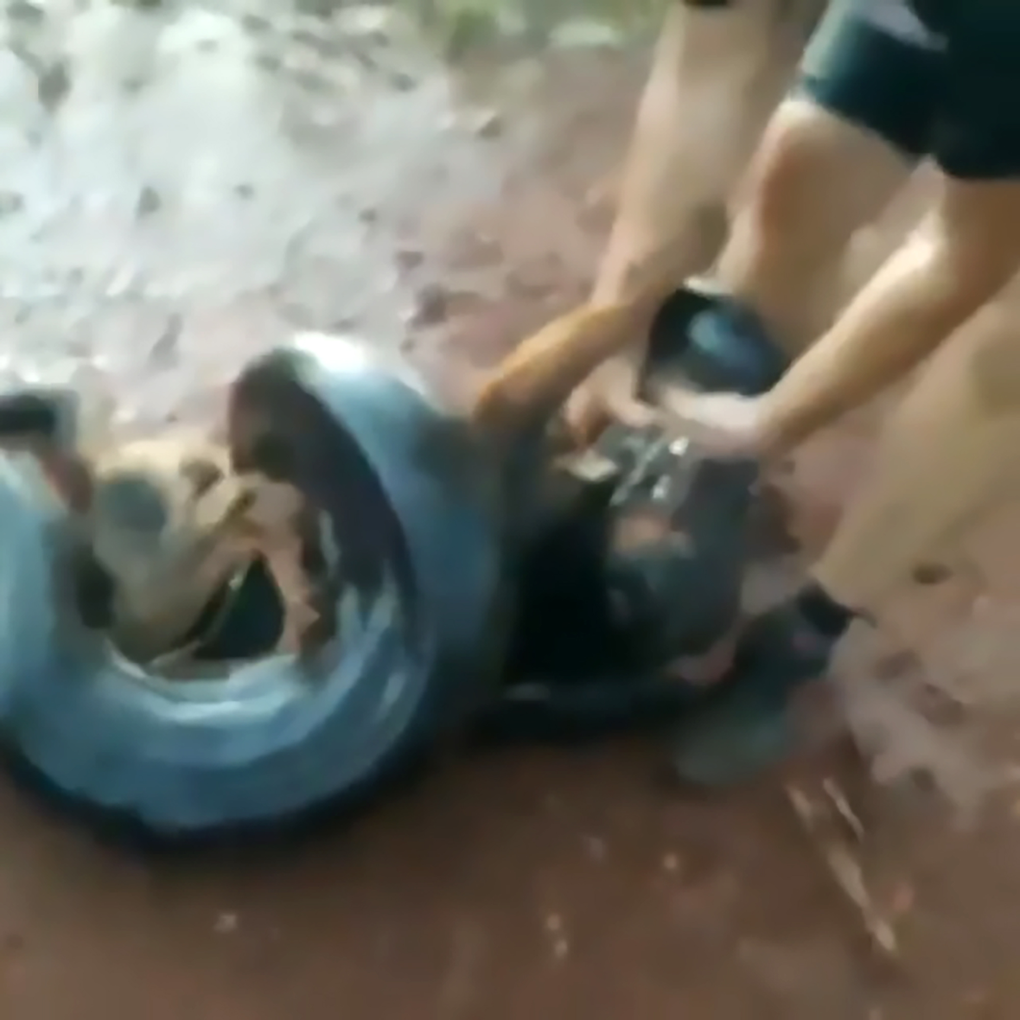 Read more about the article Brave Cyclists Save Pooch From Anacondas Jaws