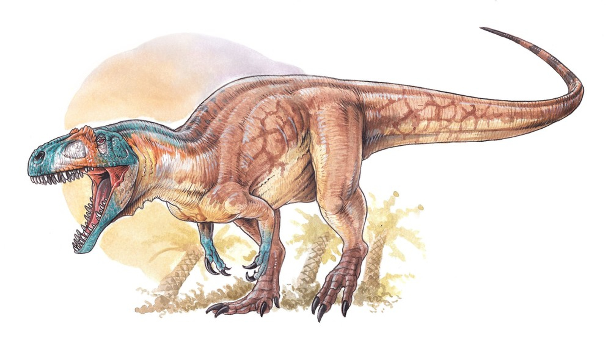 Read more about the article Discovery Of New Huge Meat-Eating Jurassic Dinosaur