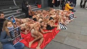 Read more about the article Bloodied Activists In Half-Naked Madrid Fur Protest