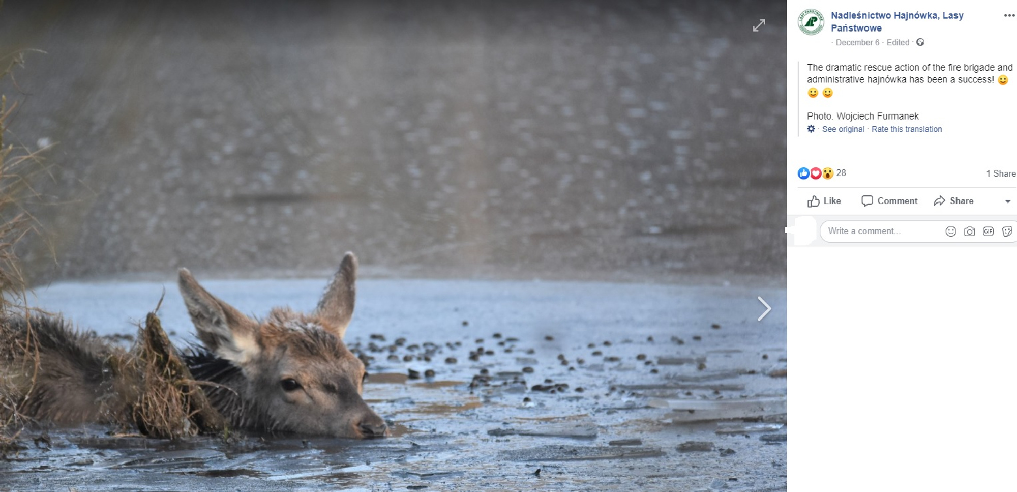 Read more about the article Stag Rescued While Slipping On Icy Lake Like Bambi