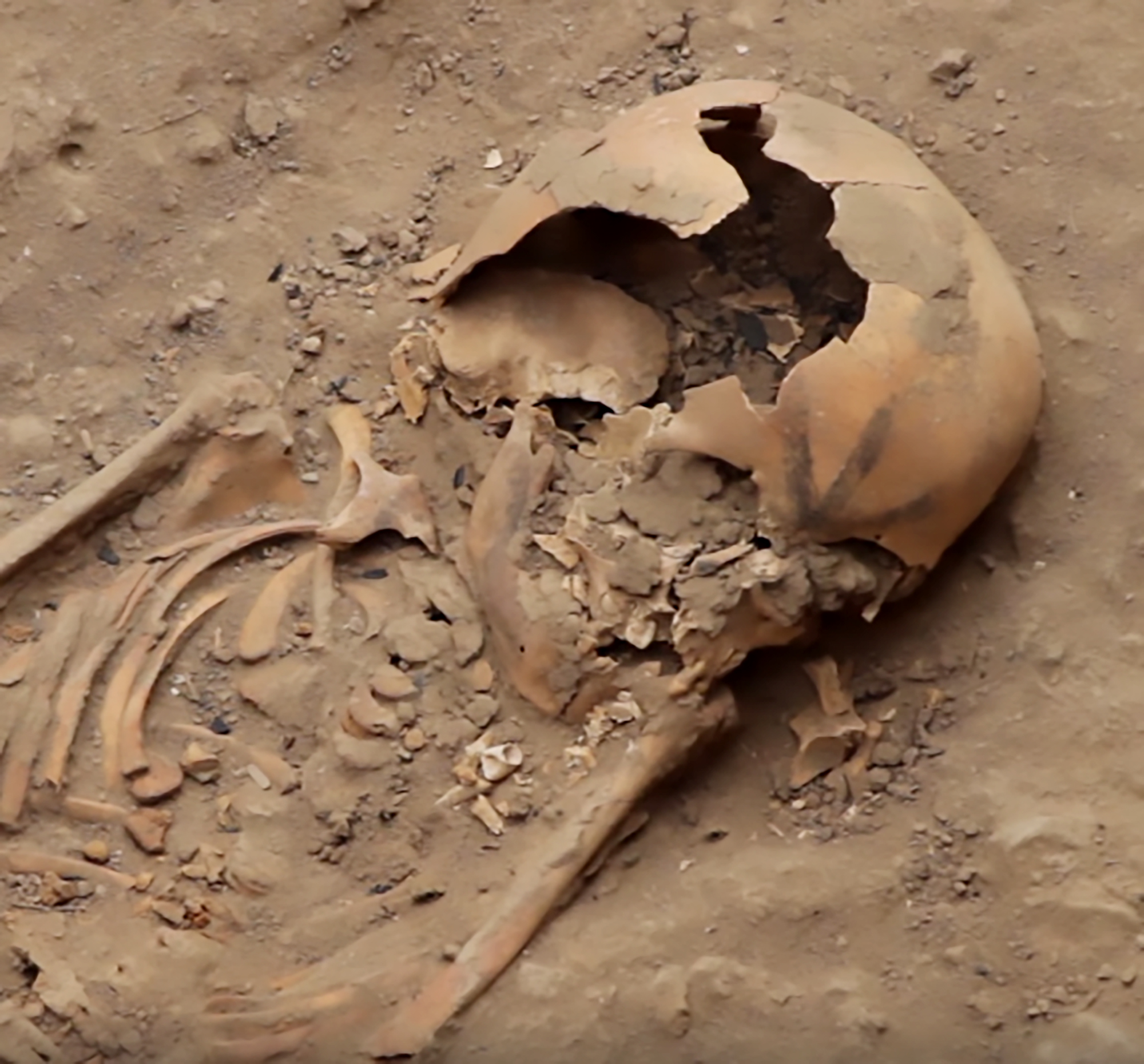 Read more about the article Dig Unearths Ancient Skeletons In Graves With Sceptre
