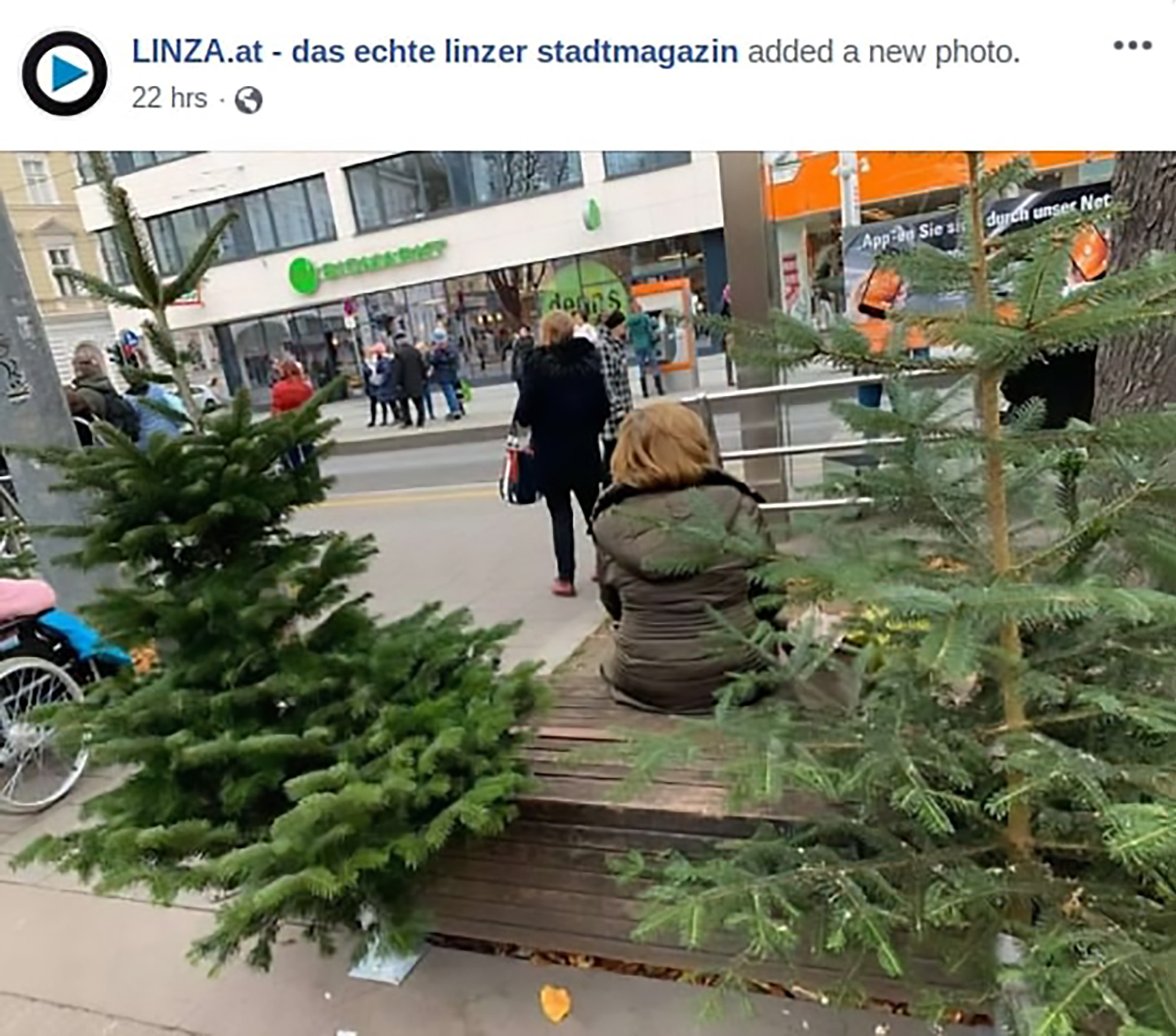 Read more about the article Activists Chop Down Xmas Trees Stopping Homeless Sleep