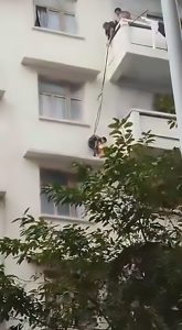 Read more about the article Gran Dangles 7yo Boy Down Side Of Building To Rescue Cat