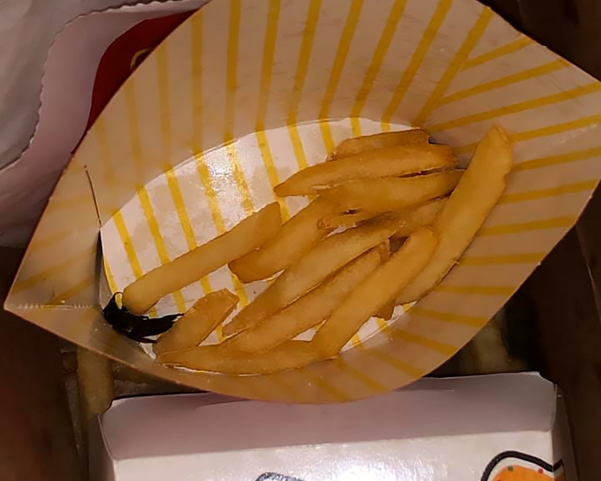 Read more about the article Woman Finds Big Winged Insect In McDonalds Chips