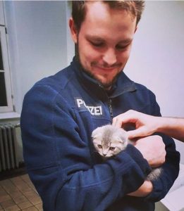 Read more about the article Fluffy Kitten Rescued By Cops Is An Online Hit
