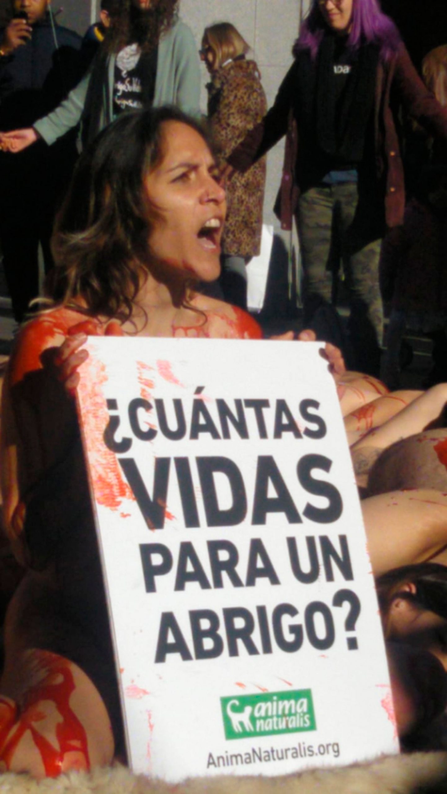 Read more about the article Bloodied Activists In Naked Madrid Fur Trade Protest