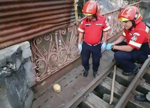 Read more about the article Firemen Find Skull Used In Black Magic On Rail Track