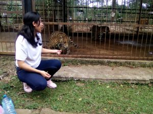 Read more about the article 30yo Woman Attacked By Jaguar While Taking Selfie