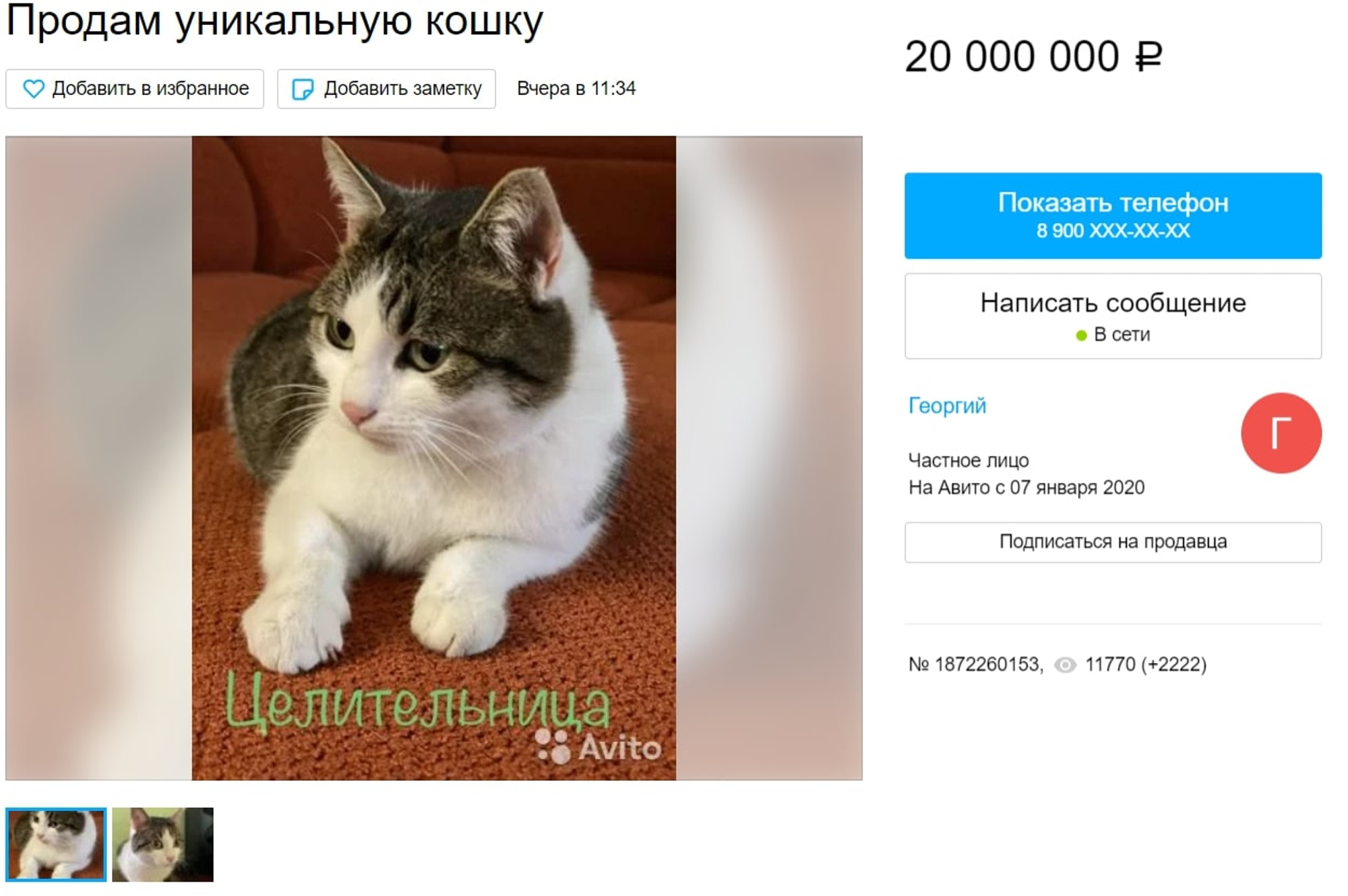 Read more about the article Man Tries To Sell Magic Cat On Internet For 250K