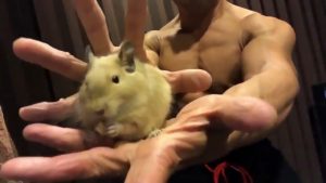 Read more about the article Viral: Bodybuilders Dragon Ball Z Kamehameha With Pets