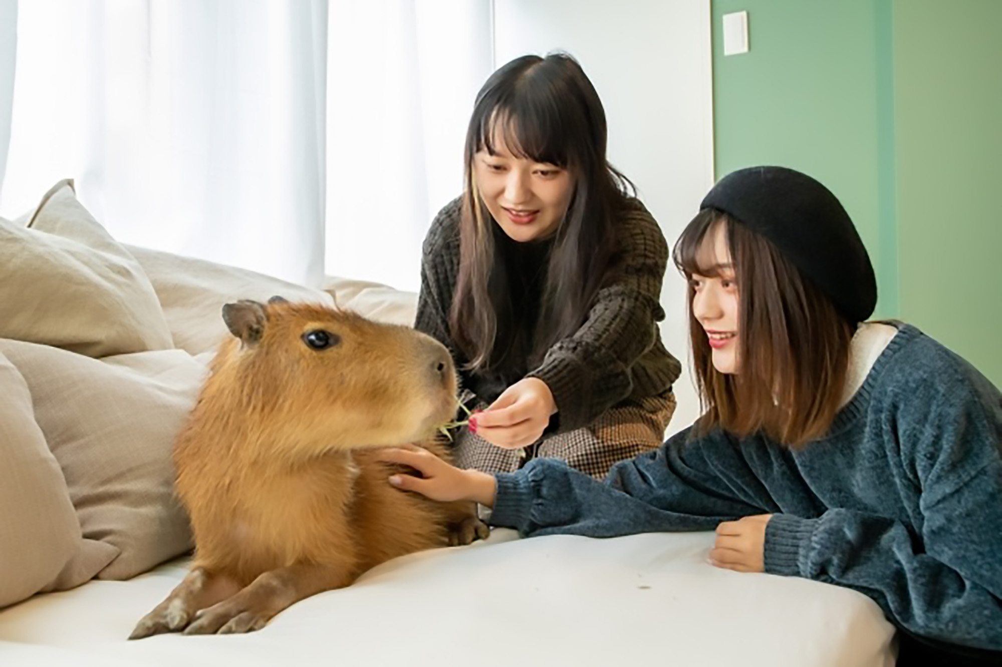 Read more about the article Japanese Animal Theme Cafe With Rodents Bigger Than Cats