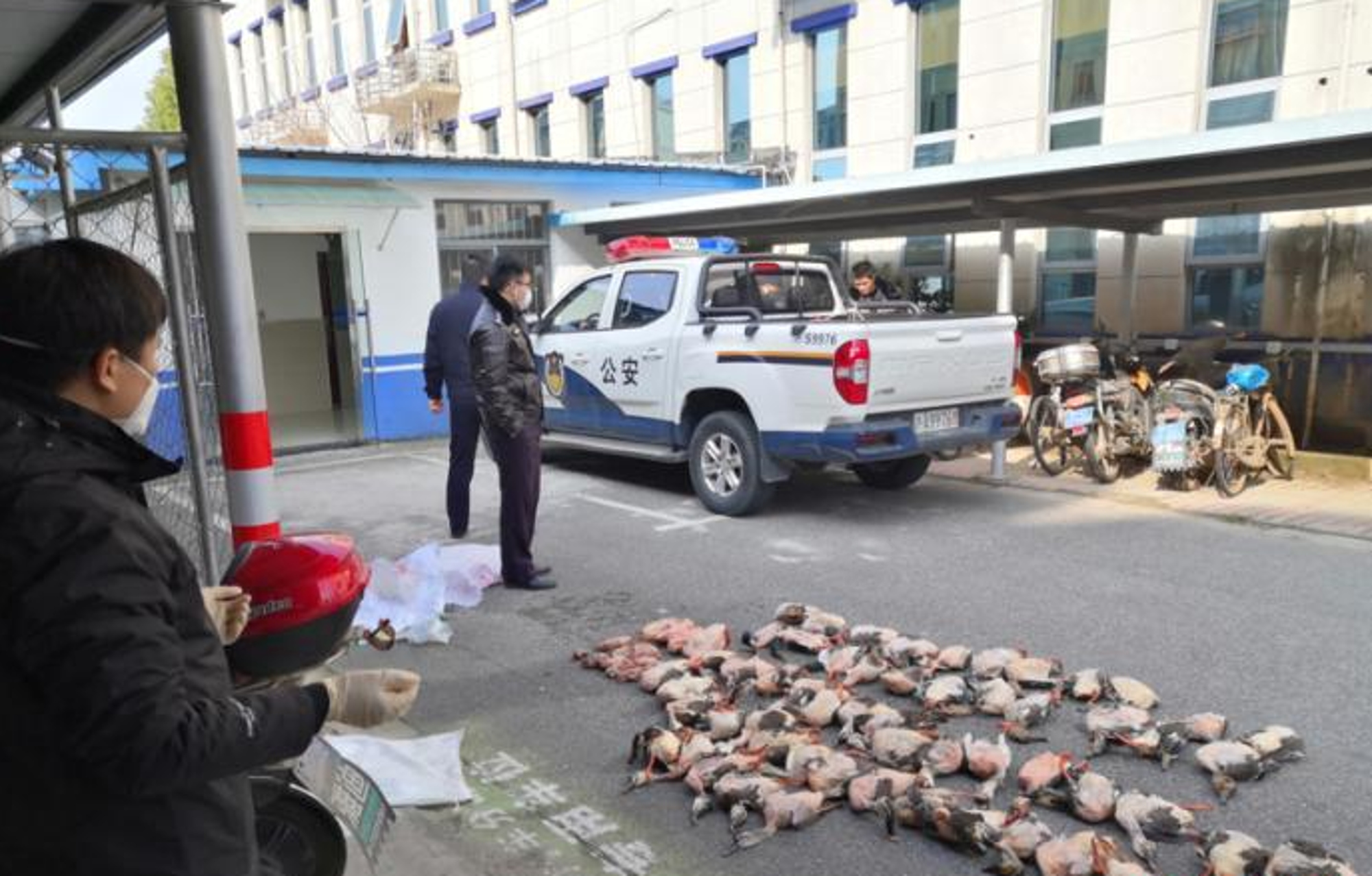 Read more about the article Cops Seize Illegal Wildlife Meat Amid Virus Fears