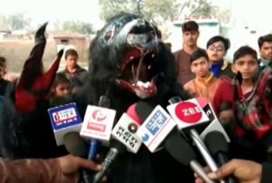Read more about the article Villagers Dress As Bears To Prevent Monkey Attacks