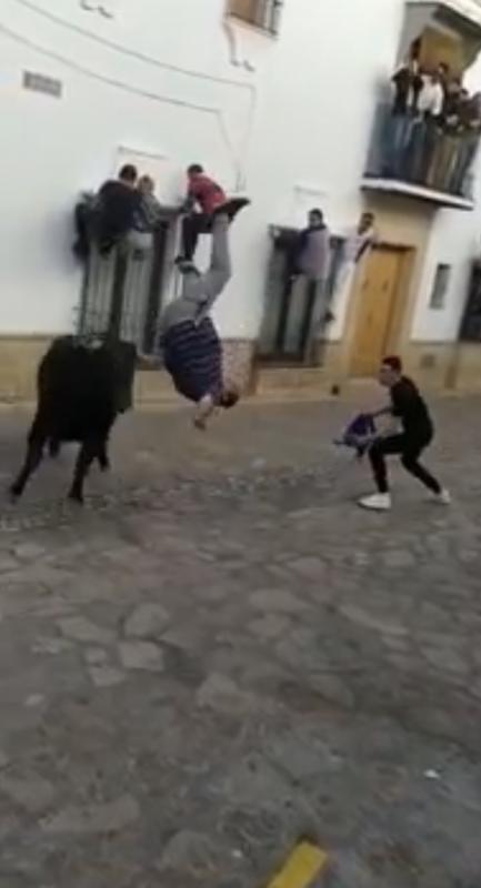 Read more about the article Moment Raging Bull Flips Man Into Air And Gores Him