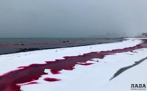 Read more about the article Caspian Sea Waters Turn Blood Red