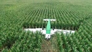 Read more about the article Woman Pilot Crash-Lands Faulty Plane In Cornfield