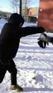 Read more about the article Shocking Moment Boys Use Live Crow For Boxing Practice