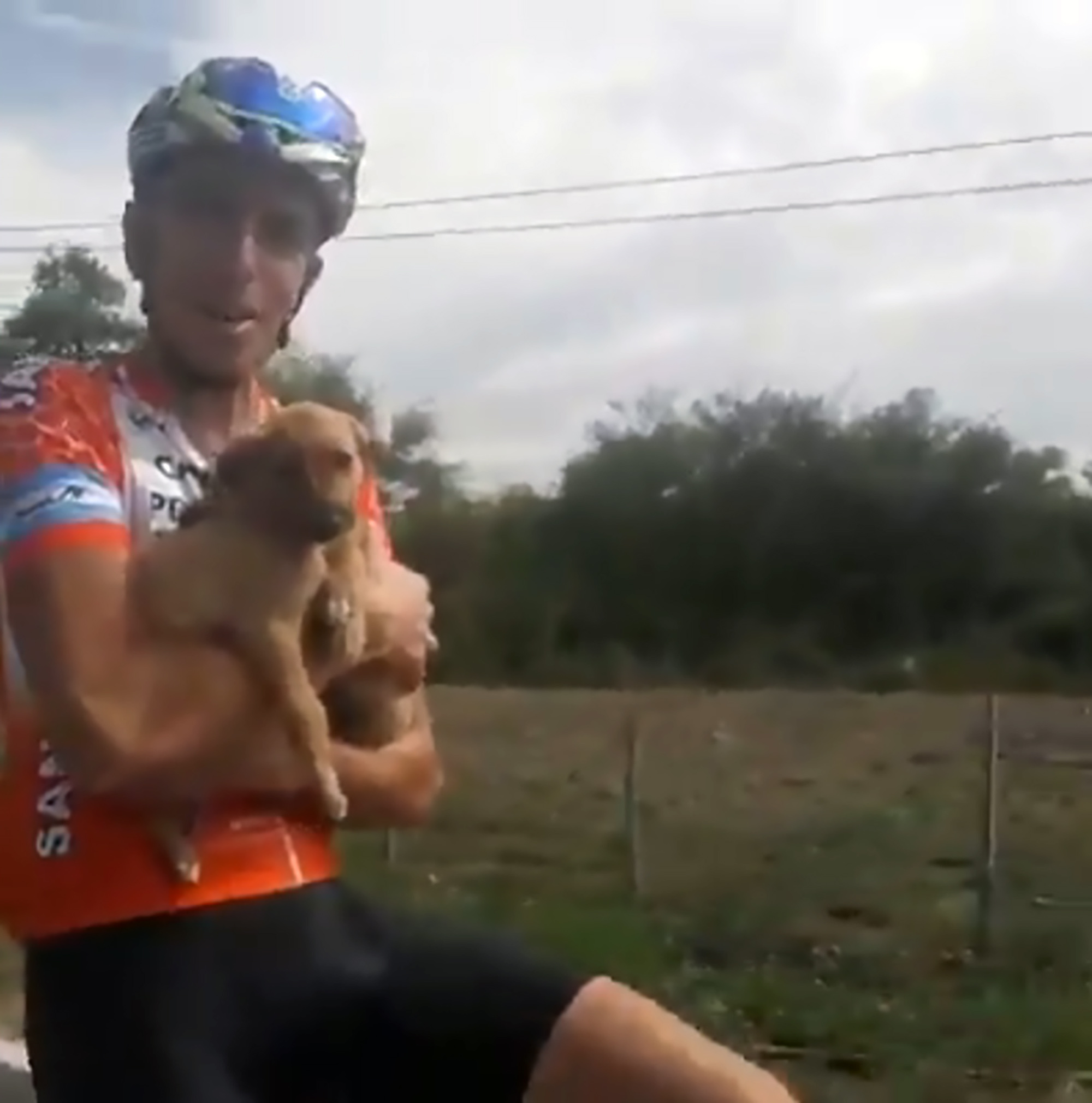 Read more about the article Viral: Cyclists Save 6 Near-Dead Puppies On Roadside