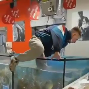 Read more about the article Man Retrieves Ring From Aquarium After GF Says No