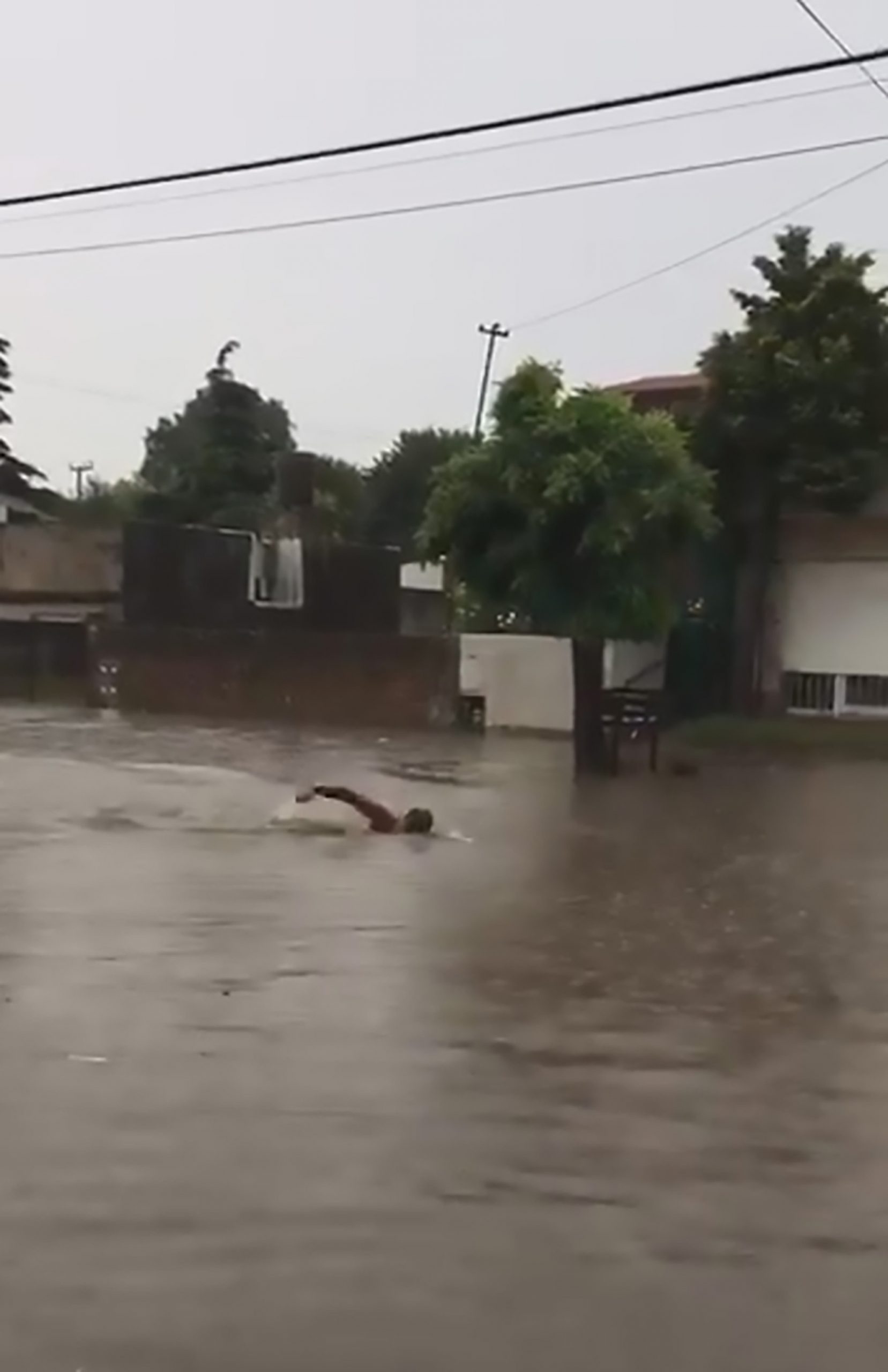 Read more about the article Man Swims Front Crawl Down Flooded Street