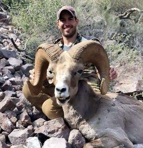 Read more about the article Sick US Trophy Hunter Kills Protected Bighorn Sheep